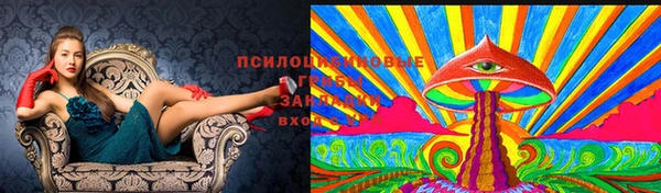 герыч Аркадак